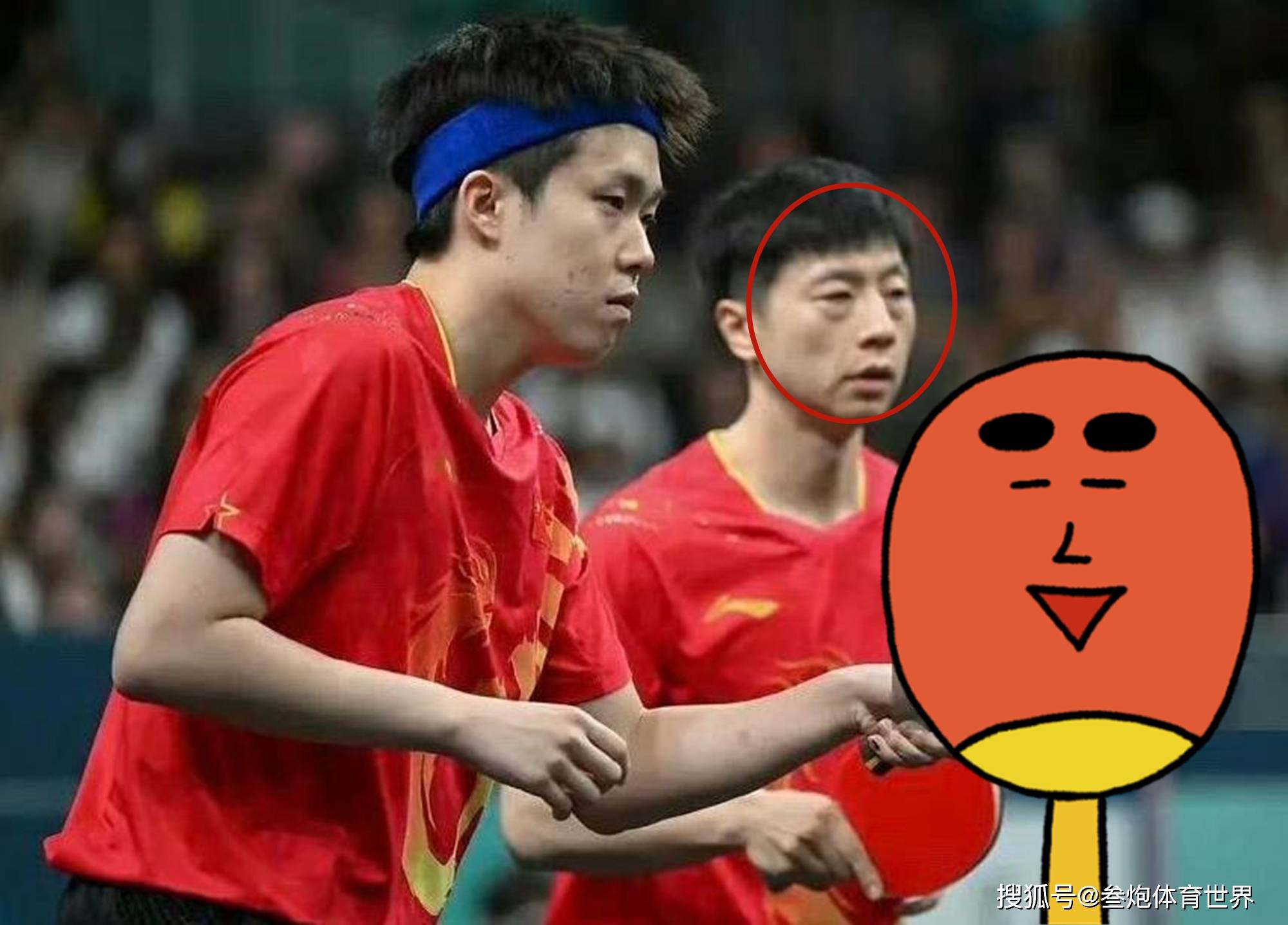 韩国乒乓球队轻取德国乒乓球队，马龙送出助攻的简单介绍