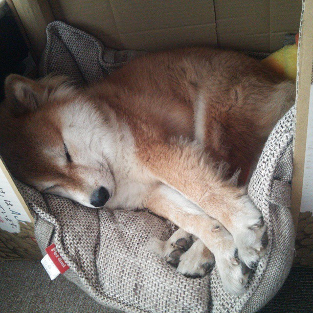 一剑封喉！帕尔默化身关键先生，新西兰力斩洪都拉斯创历史