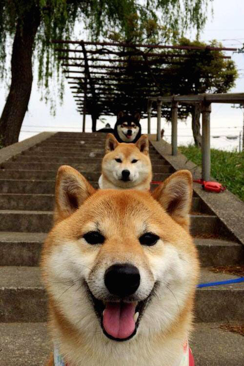 哈登式攻防转换核心，雄鹿横扫步行者的战术密码