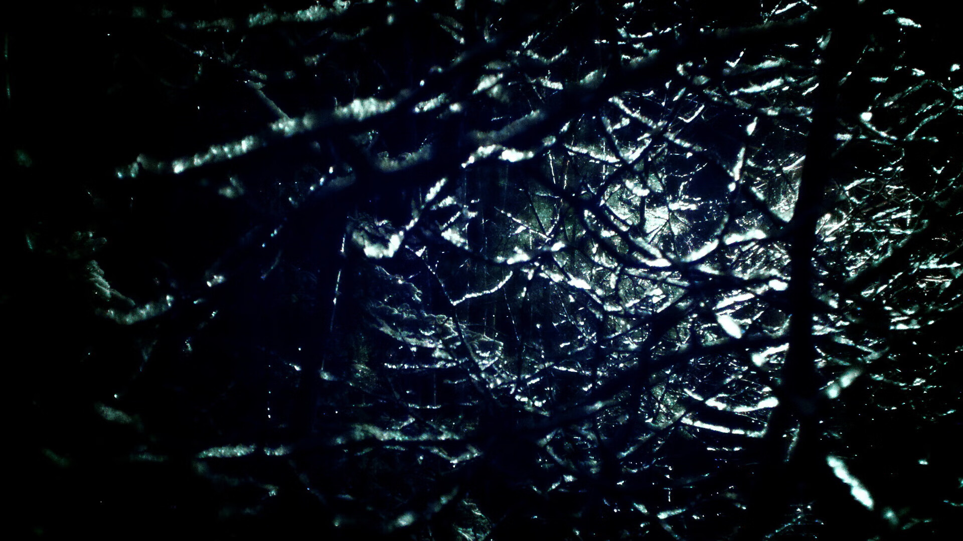 霍勒迪单骑锁乾坤，上海队关键战突围辽宁队