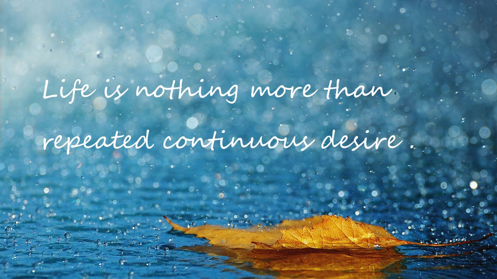 团队胜利与孤胆英雄，当凯尔特人的铁壁横扫遭遇杜兰特的烈焰