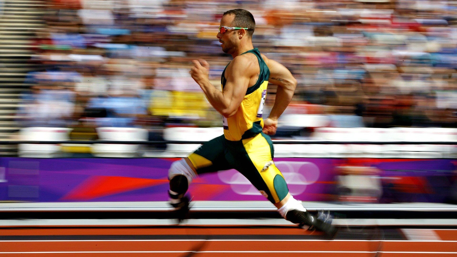 铁壁铜墙锁北境,福克斯神兵降天兵—广东队主场稳稳拿下吉林队,福克斯关键先生当之无愧