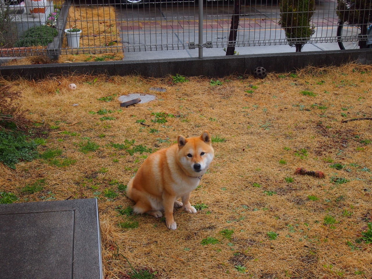 塔图姆神兵天降，热火力克猛龙破解魔鬼主场