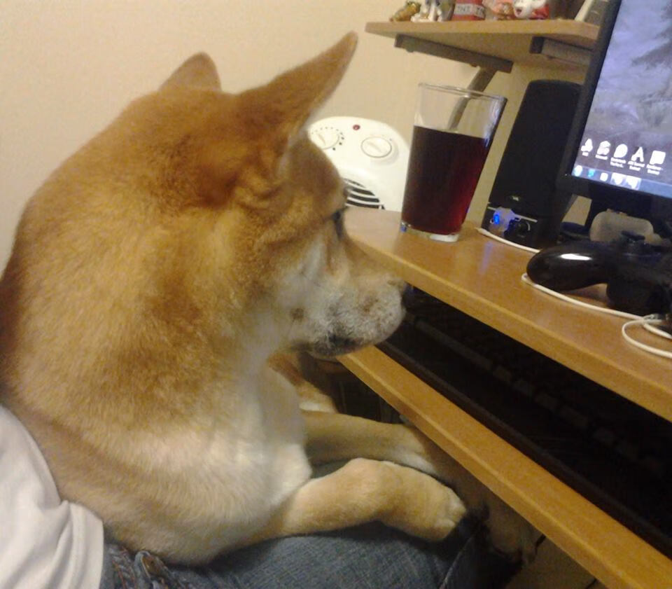 救赎之战！浙江绝境逢生，奇兵切特一战封神