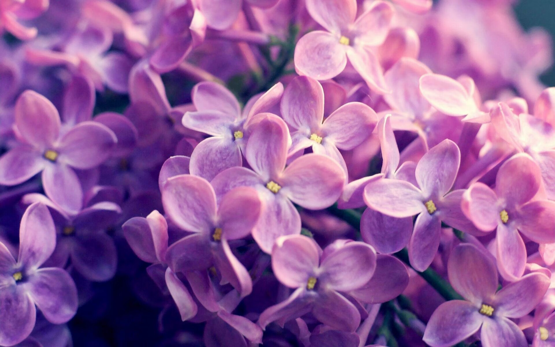 天山风暴熄灭休城火焰，贝恩巨星光芒改写西部版图