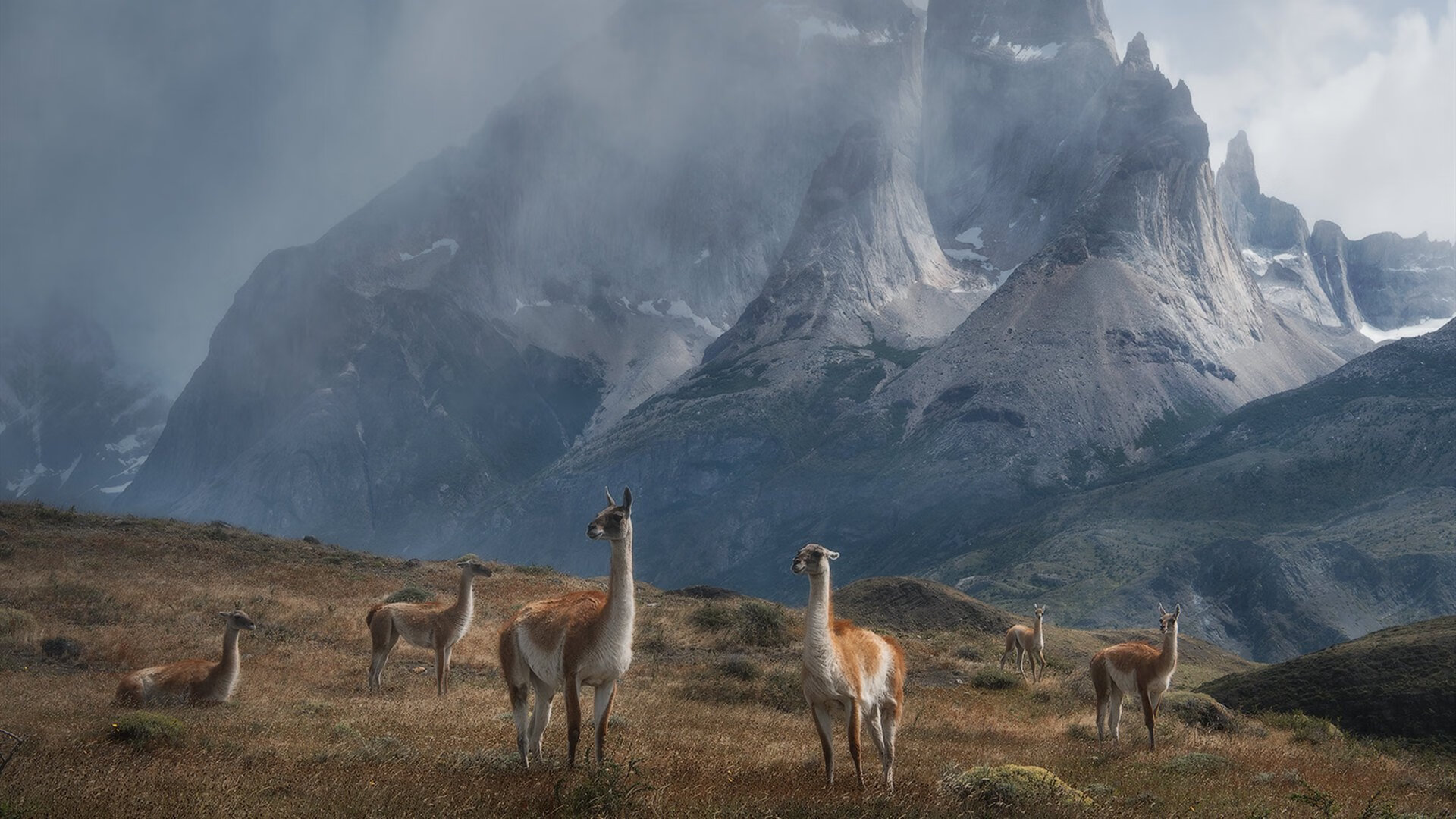 掘金掀翻骑士，贝恩的手术刀，切开钢铁之城的防线