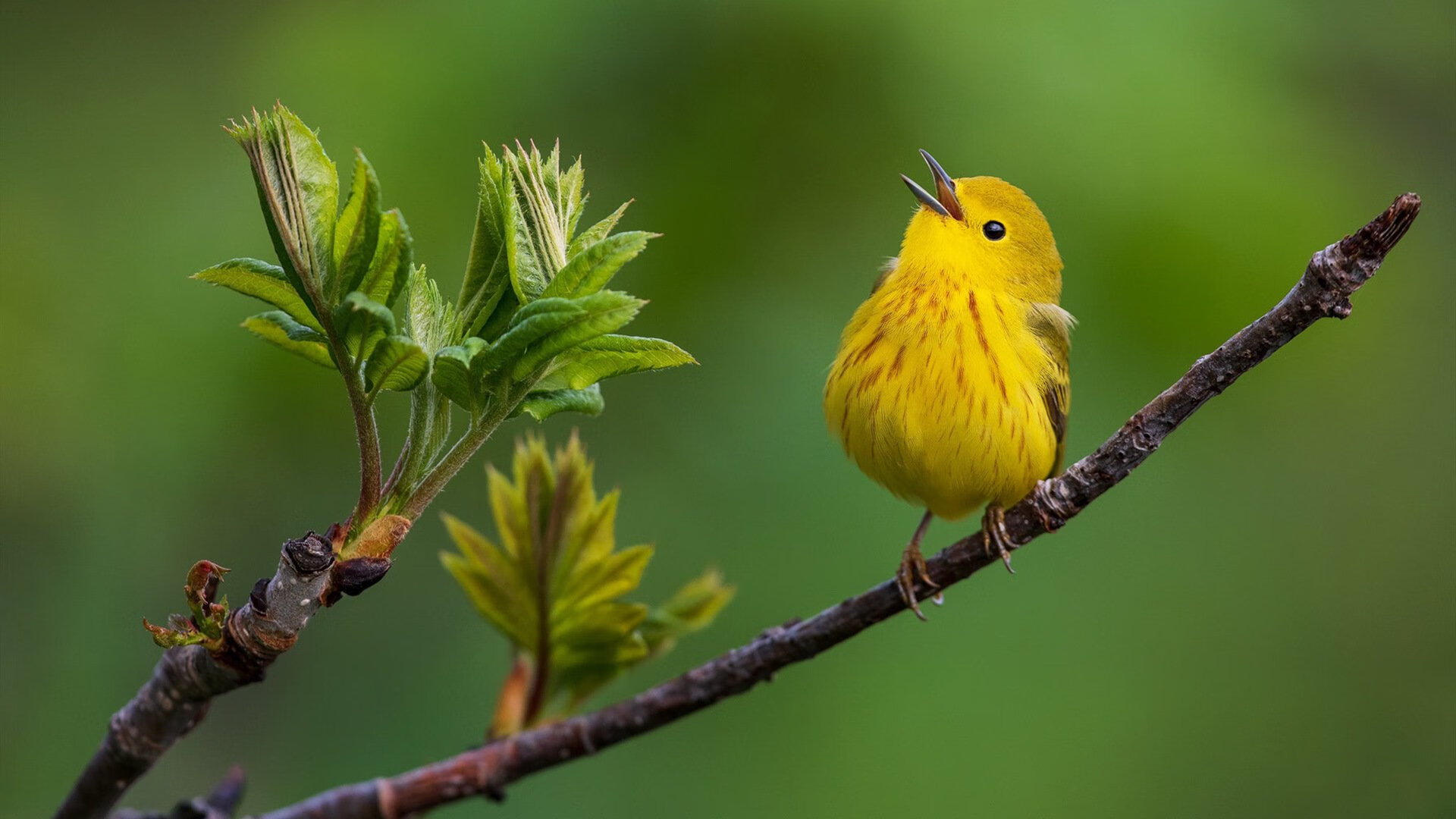 世界排名争夺战之夜，特奥节奏上演王者掌控