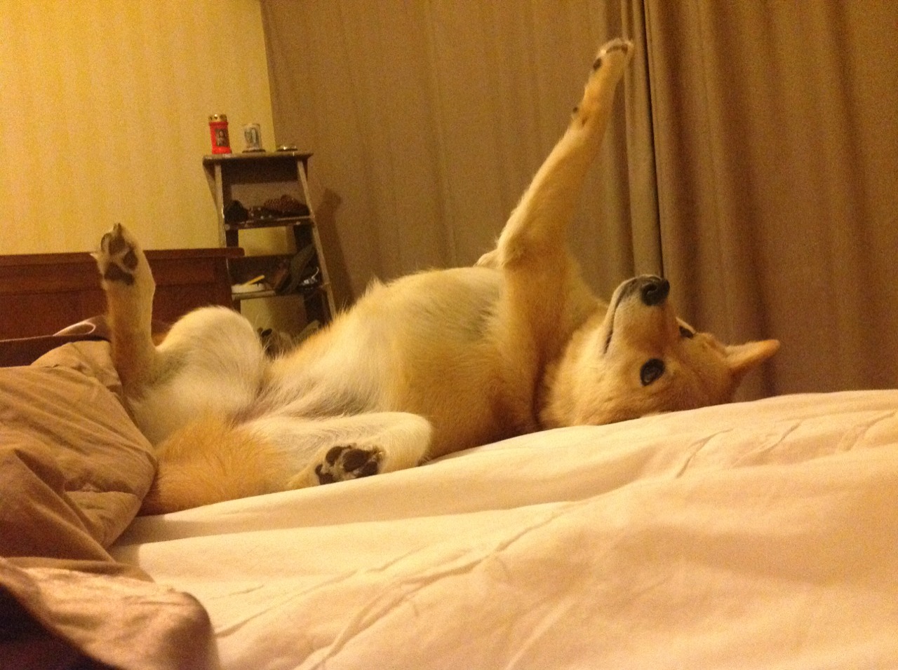 战斧劈开黑夜,浓眉总决赛之夜的王者归来